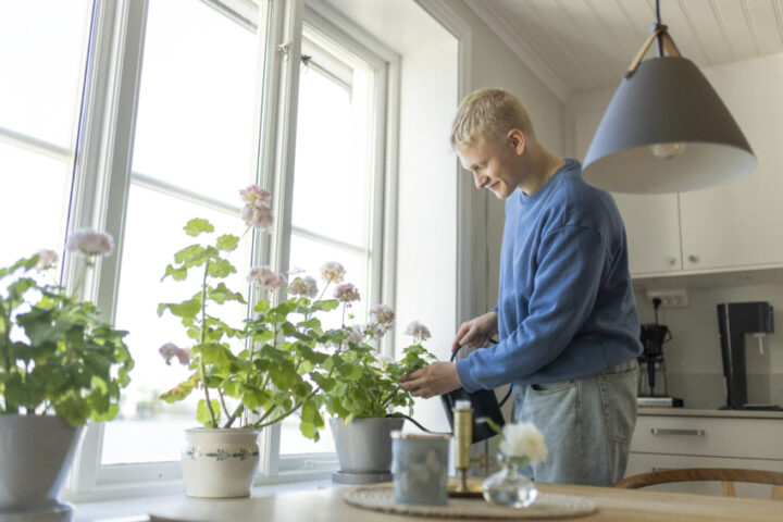 Gör din egen växtnäring