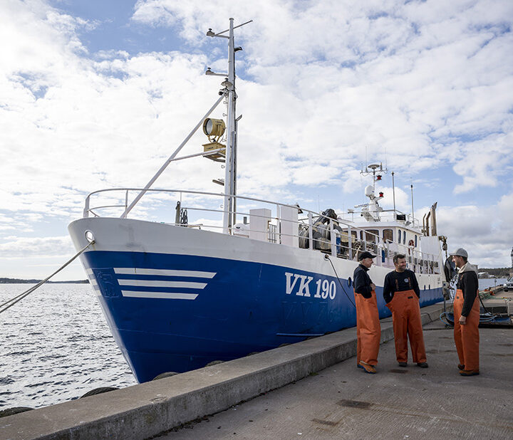 Ensam kvar med att enbart livnära sig på fisket