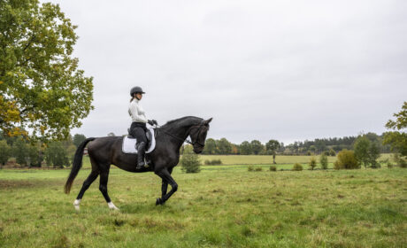 Från beridare – till beredare