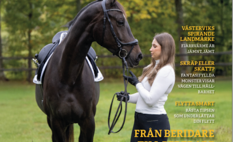 Glokalt hösten 2025